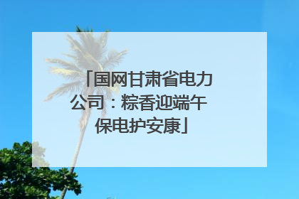 国网甘肃省电力公司：粽香迎端午 保电护安康