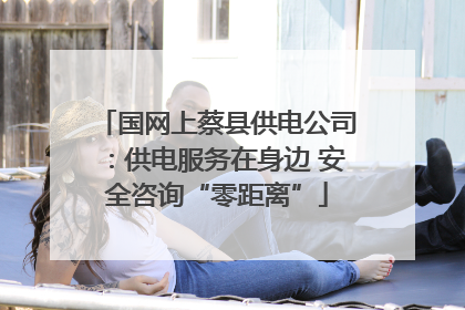 国网上蔡县供电公司：供电服务在身边 安全咨询“零距离”