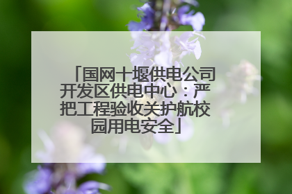 国网十堰供电公司开发区供电中心：严把工程验收关护航校园用电安全