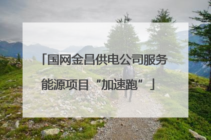 国网金昌供电公司服务能源项目“加速跑”