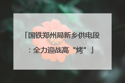 国铁郑州局新乡供电段：全力迎战高“烤”