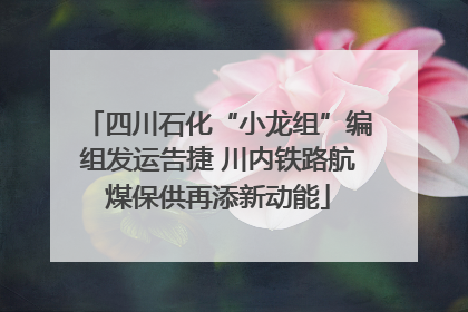 四川石化“小龙组”编组发运告捷 川内铁路航煤保供再添新动能