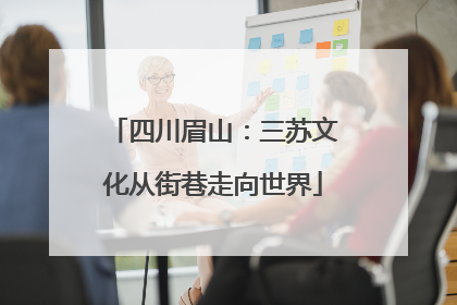 四川眉山：三苏文化从街巷走向世界