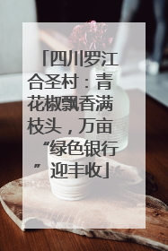 四川罗江合圣村：青花椒飘香满枝头，万亩“绿色银行”迎丰收