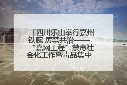 四川乐山举行嘉州铁腕 厉禁共治——“嘉网工程”禁毒社会化工作暨毒品集中销毁启动仪式