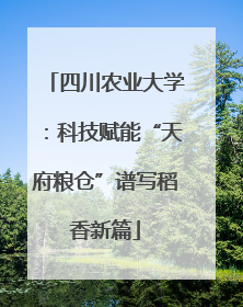 四川农业大学：科技赋能“天府粮仓”谱写稻香新篇