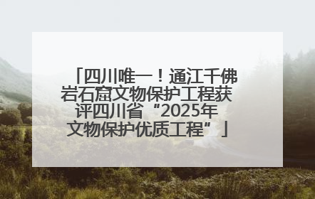四川唯一！通江千佛岩石窟文物保护工程获评四川省“2025年文物保护优质工程”