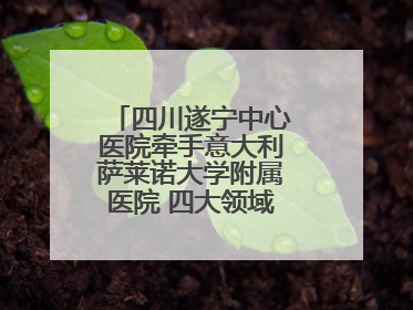 四川遂宁中心医院牵手意大利萨莱诺大学附属医院 四大领域开展全面合作