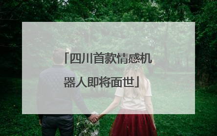 四川首款情感机器人即将面世
