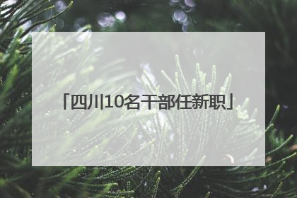 四川10名干部任新职