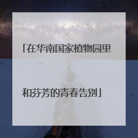 在华南国家植物园里和芬芳的青春告别