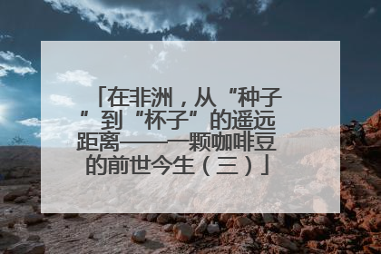 在非洲，从“种子”到“杯子”的遥远距离——一颗咖啡豆的前世今生（三）