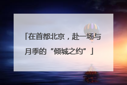 在首都北京，赴一场与月季的“倾城之约”