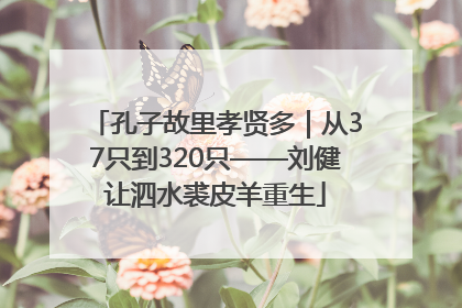 孔子故里孝贤多｜从37只到320只——刘健让泗水裘皮羊重生