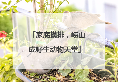 家底摸排，崂山成野生动物天堂