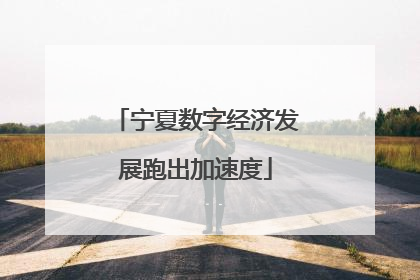 宁夏数字经济发展跑出加速度