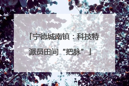 宁德城南镇：科技特派员田间“把脉”