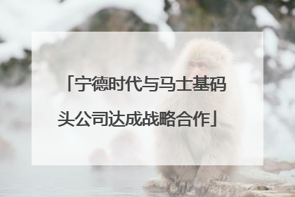 宁德时代与马士基码头公司达成战略合作