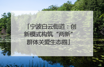 宁波白云街道：创新模式构筑“两新”群体关爱生态圈