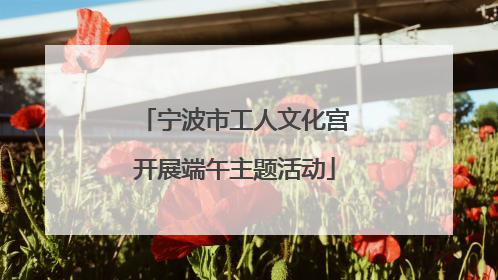 宁波市工人文化宫开展端午主题活动