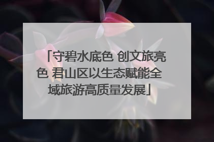 守碧水底色 创文旅亮色 君山区以生态赋能全域旅游高质量发展