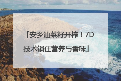 安乡油菜籽开榨！7D技术锁住营养与香味