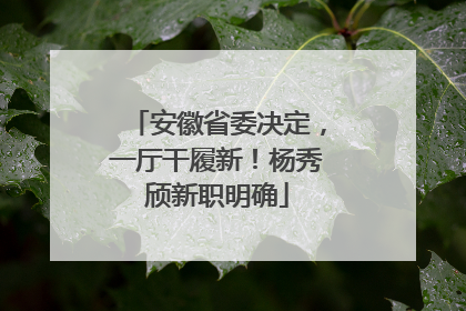 安徽省委决定，一厅干履新！杨秀颀新职明确