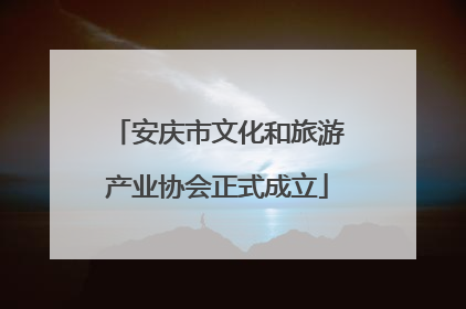 安庆市文化和旅游产业协会正式成立