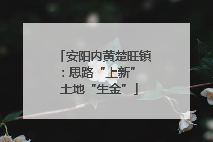 安阳内黄楚旺镇：思路“上新” 土地“生金”