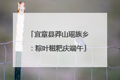 宜章县莽山瑶族乡：粽叶糍粑庆端午