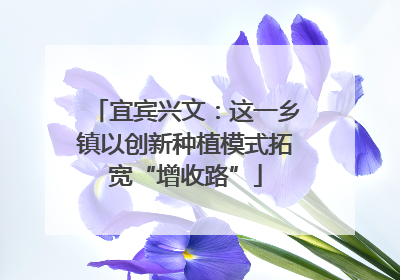 宜宾兴文：这一乡镇以创新种植模式拓宽“增收路”