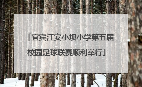 宜宾江安小坝小学第五届校园足球联赛顺利举行