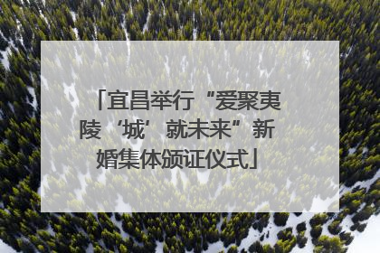 宜昌举行“爱聚夷陵‘城’就未来”新婚集体颁证仪式