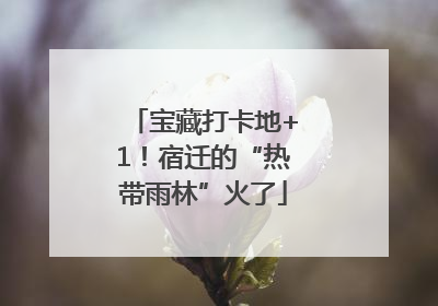 宝藏打卡地+1！宿迁的“热带雨林”火了