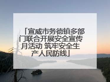 宣威市务德镇多部门联合开展安全宣传月活动 筑牢安全生产人民防线