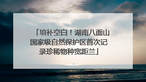 填补空白！湖南八面山国家级自然保护区首次记录珍稀物种宽距兰