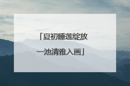 夏初睡莲绽放 一池清雅入画