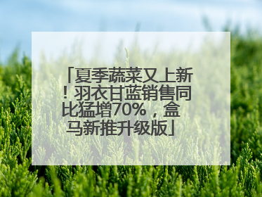 夏季蔬菜又上新！羽衣甘蓝销售同比猛增70%，盒马新推升级版