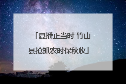 夏播正当时 竹山县抢抓农时保秋收