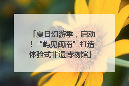 夏日幻游季，启动！“屿见闽南”打造体验式非遗博物馆
