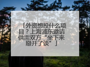 外资想投什么项目？上海浦东邀请供需双方“坐下来掰开了谈”
