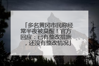 多名黄冈市民称经常半夜被臭醒！官方回应：已有整改措施，还没有整改情况