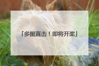 多图直击！即将开桨