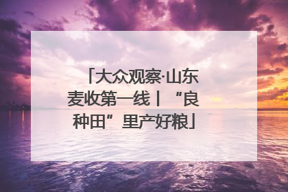大众观察·山东麦收第一线丨“良种田”里产好粮