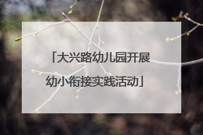 大兴路幼儿园开展幼小衔接实践活动