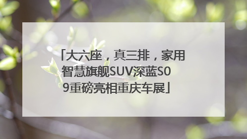 大六座，真三排，家用智慧旗舰SUV深蓝S09重磅亮相重庆车展
