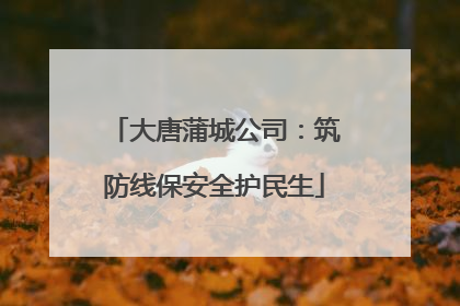 大唐蒲城公司：筑防线保安全护民生
