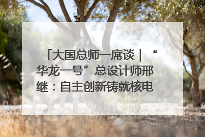 大国总师一席谈｜“华龙一号”总设计师邢继：自主创新铸就核电“国家名片”