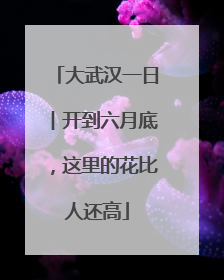 大武汉一日︱开到六月底，这里的花比人还高