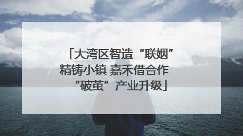 大湾区智造“联姻”精铸小镇 嘉禾借合作“破茧”产业升级